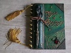 Buch der Schatten NEMESIS NOW grün Katze Blattgold Spinne Stift Book of Shadows