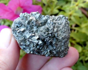 Marcasite Pyrite - Cap Blanc Nez 4x3cm - Minéraux Collection Cabinet Curiosité - Foto 1 di 3