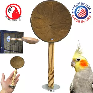 Plato en jaula de tratamiento de semillas de coco Bonka Bird Toys 2185 - Imagen 1 de 7