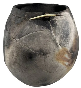 Kunstkeramik Vase Topf von Chris Spanovich Sägemehl gebrannt Raku Stil Stachelschwein Feder - Bild 1 von 8