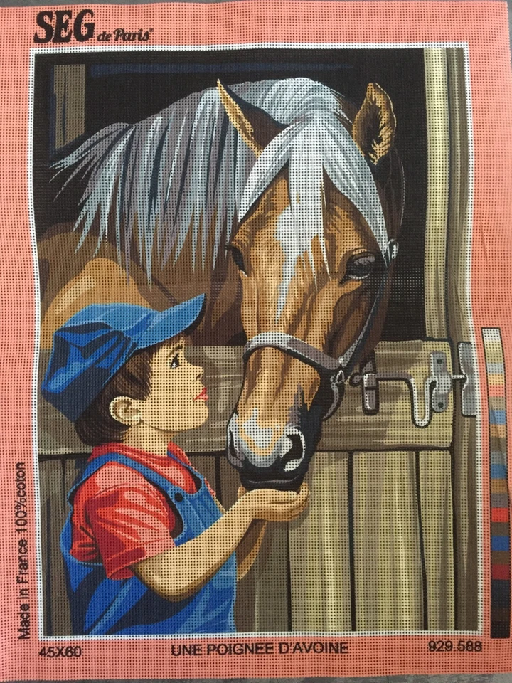 @@**SUPERBE CANEVAS  *60 X 45CM*  AVEC REF SEG - UNE POIGNNE D'AVOINE****@@ - Photo 1/1