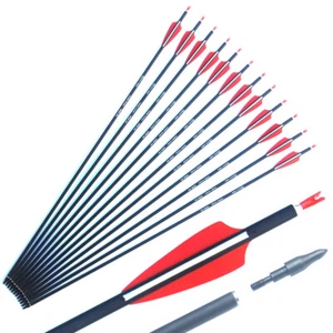 Flechas de carbono de caza 28/30/31" SP 500 para tiro con arco compuesto/recurvo tiro con arco con arco compuesto/recurvo - Imagen 1 de 9