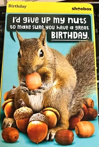 Shoebox Birthday Card, Adult theme "I'd give up My Nuts for Your Birthday" AD16 - Picture 1 of 3