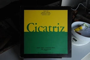 GRUPPO VOCALE E STRUMENTALE ZAFRA - CICATRIZ - VINILE LP 33 GIRI - 12" EX - Picture 1 of 1