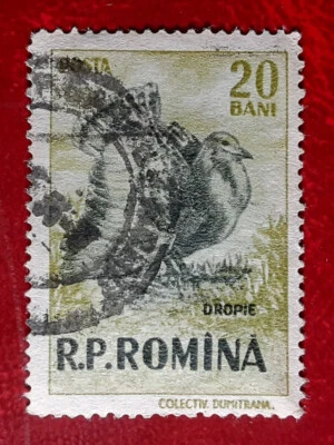 Румыния 1956 20b б/у охота Vanatoarea дрофы Dropie Mi 1566 Scott 1083 2290 - Изображение 1 из 2
