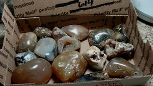 Polished Mixed Agate -   All Natural Color Agate From NW USA  #614 - Picture 1 of 5