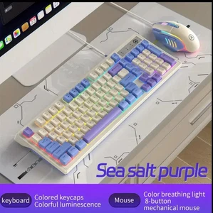 Mechincal RGB Keyboard And Mouse - Afbeelding 1 van 5