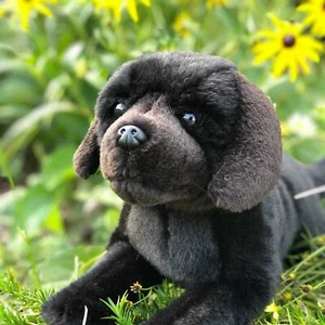 Auswella® Cole™ Floppy 16 pulgadas negro Labrador Retriever - Imagen 1 de 1