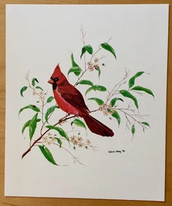 Cardinal Bird - Tarjeta de arte vintage Gene Gray - Stock antiguo - Imagen 1 de 1