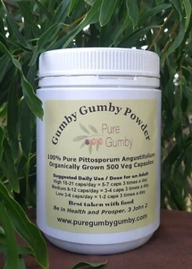 500 veg caps ORGANICALLY GROWN SAVINGS Gumbi Gumby ONE bottle super fine powder - Picture 1 of 6