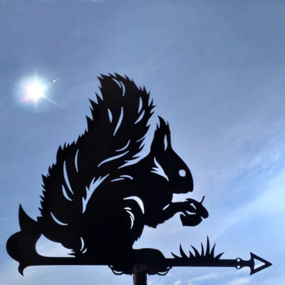 Squirrel Metal Weathervane, Weather Vane, home roof decor - Image 1 of 4
