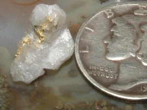 CLASSIC GOLD QUARTZ SPECIMEN .54 GRAM GOLD WITH QUARTZ - Picture 1 of 6