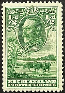 Bechuanaland, King George V with Cattle, 1/2  Pence, Scott 105, MLH, F-VF - Picture 1 of 2