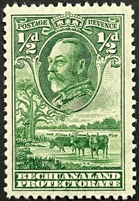 Bechuanaland, King George V with Cattle, 1/2  Pence, Scott 105, MLH, F-VF - Image 1 of 2