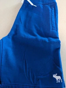Abercrombie & Fitch Kids 13/14 Blue Shorts - Picture 1 of 3