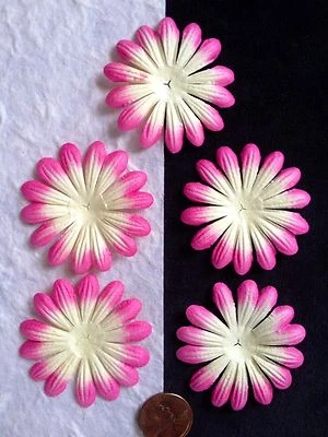 10 Flowers petals Cream Hot Pink daisy flower Handmade Mulberry paper Tropical - Image 1 of 3
