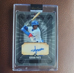 2024 Wild Card 5 Card Draw Adrian Pinto Black Border Auto 1/1 - Picture 1 of 2
