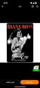 SELTENES SCHÖNES DIANA ROSS METALL KONZERT SCHILD - Bild 1 von 1