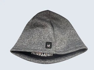 Spyder Motorsports EuroMotorcars Gray Knit Beanie Hat Cap Fleece Lining OSFM - Picture 1 of 5