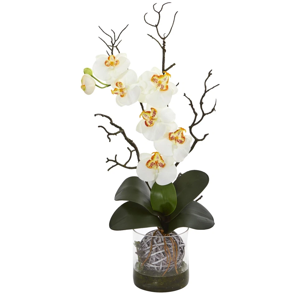 Arreglo artificial de orquídea casi natural Phalaenopsis en florero crema Foto 1 de 2