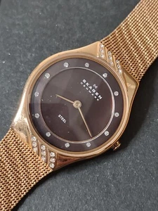 Very Pretty Untested Skagen Denmark Watch - Picture 1 of 9