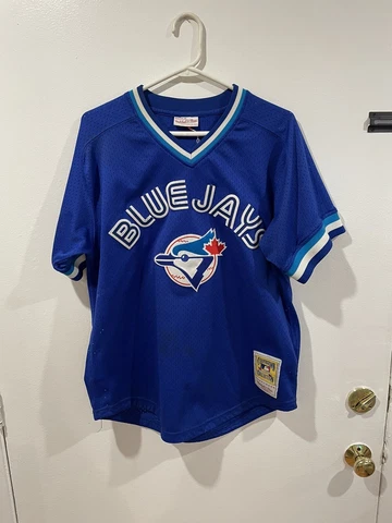 1993 Joe Carter #29 Toronto Blue Jays Mitchell & Ness Cooperstown Jersey Sz L Cover