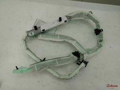 Bolsa de aire techo pasajero 1836678 Foto 1 de 4