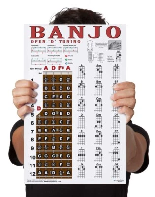 LAMINATED 5 String Banjo Chord Poster Open D Tuning Chords Plucky Travel - Image 1 of 4