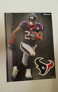 ARIAN FOSTER  2013 NFL FATHEAD TRADEABLES 5" x 7" HOUSTON TEXANS  - #9 - Picture 1 of 1