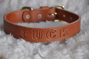 Leather Dog Custom Collar  1" Wide Personalized Free Hand Made NEW