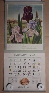 1947 Morrell Schinken Werbekalender Blumen unseres Landes komplett unbenutzt Rarität - Bild 1 von 24