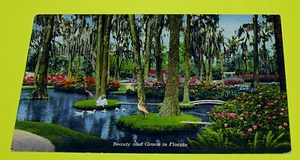 Cartolina d'epoca - Florida - Bellezza e Grazia - non spedita - anni '40 - Foto 1 di 2