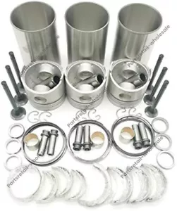 Engine Overhaul Kit for Doosan 602 PLUS DSL602 Gravely Chipper PRO CHIP 944 - Picture 1 of 5