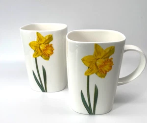 Royale Garden Staffordshire Fine Bone China Tassen 2 große Narzissen handbemalt - Bild 1 von 5