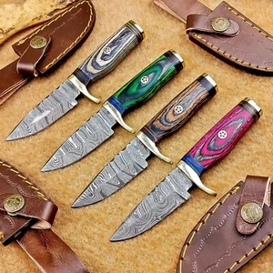 4 Pcs Damascus Blade Skinner Knives Set | 6" | Hardwood , Leather Sheath IT-852 - Picture 1 of 8