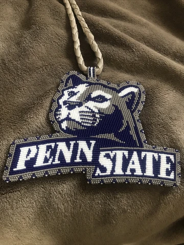 Penn State medallion Cover