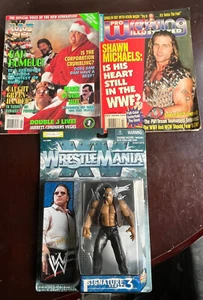 WWF The Rock—Giocattolo Jakks Pacific Wrestlemania XV. Due riviste di wrestling anni 90 - Foto 1 di 6