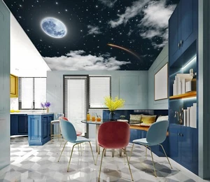 3D Soft Moonlight G4083 Ceiling WallPaper Murals Wall Print Decal Deco Erin 2023 - Picture 1 of 6
