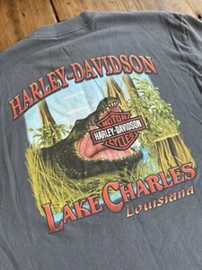 Camisa Y2K Harley Davidson Lake Charles Swamp Para Hombre Grande Gris Doble Cara - Imagen 1 de 10