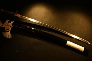 Katana Japanese antique sword Mumei Edo period koshirae - Picture 1 of 24