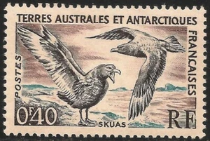 Territorio Francés Austral y Antártico #13 en estado bastante bueno MNH - 1959 Skua - Imagen 1 de 1