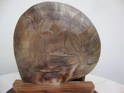 superbe et ancienne lampe de chevet 3 coquillages nacre TAHITI , vintage (2) - Photo 1/4