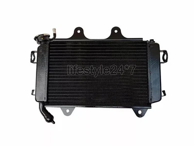 Uso para radiador KTM Duke 200 completo sin ventilador modelo 2013 a 2019 Foto 1 de 2