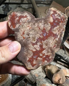 Agatized Utah Barite nodule slab - Picture 1 of 8