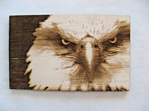 Bald Eagle - Wall Decor - on wood - Laser Engraved - Picture 1 of 5