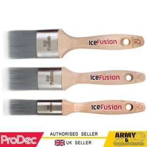 ProDec Pennello Pittura Ice Fusion Ovale Affilato per Superfici Sagomate Commercio Sintetico - Foto 1 di 6