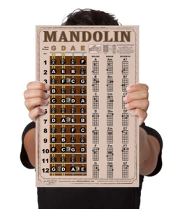 Laminated Mandolin Easy Chords Fretboard Wall Chart Poster Beginner Americana - Picture 1 of 6