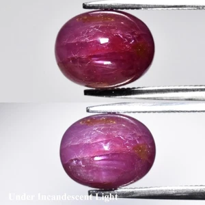 💎4.34ct Oval Cabochon Natural Purplish Red 6 Ray Star Ruby - Unheated Burma Gem - Picture 1 of 6