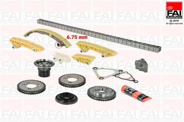 FAI AutoParts TCK47 Kit de distribution par chaîne pour FORD,JAGUAR,LDV,LTI - Photo 1/1