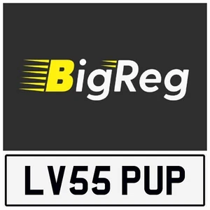 β€ π LOVES DOG LV55 PUP πΆ BREEDER PRIVATE NUMBER PLATE JAN JEN EVE ANN BEN JOE - Picture 1 of 6
